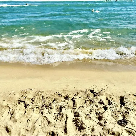 Carina - Menada * Солнечный берег